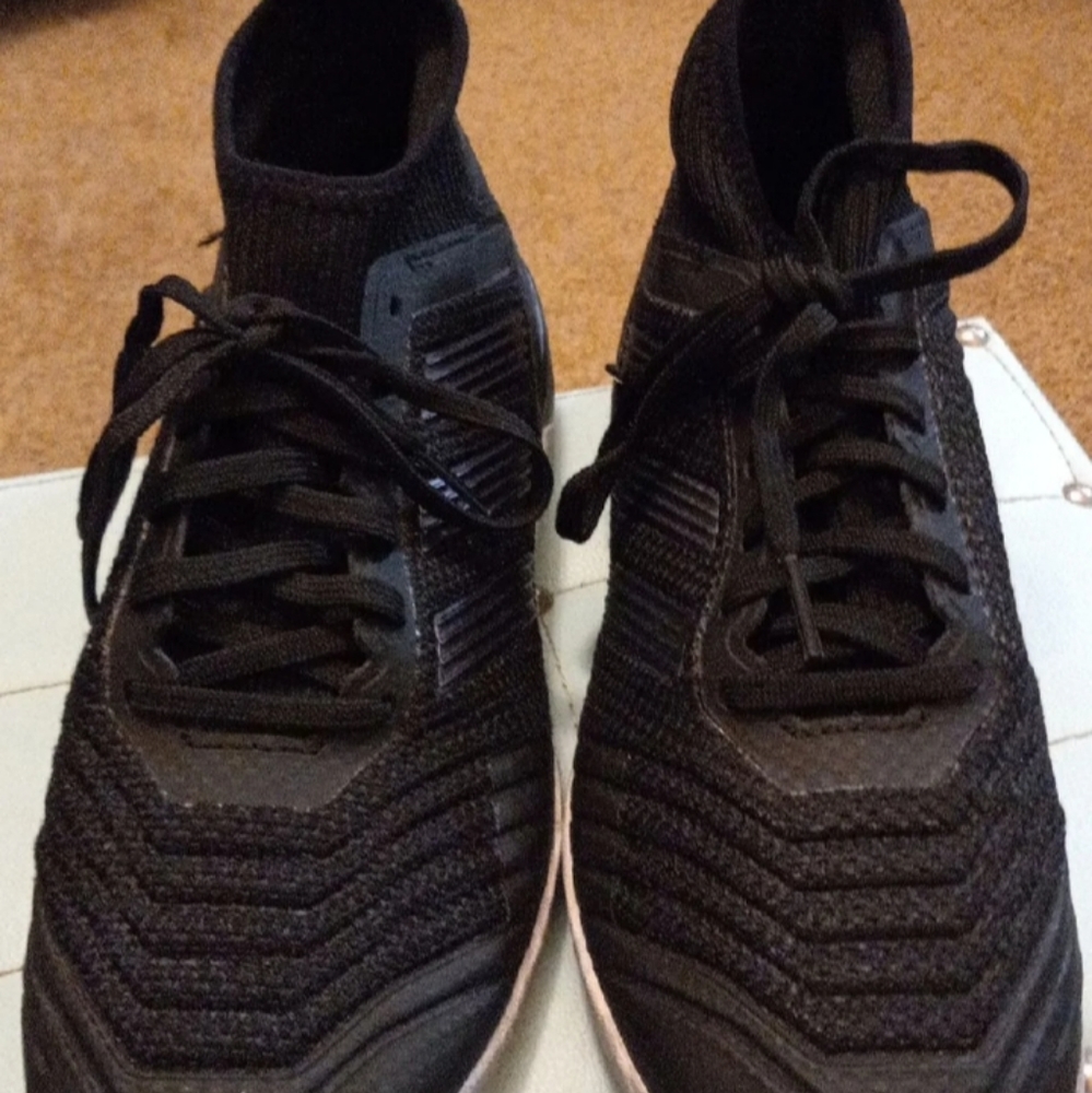 Women's Predator Sneaker
